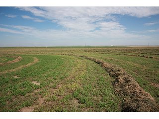 Property photo 104 - LAND AUCTION, 3255+/- Acres offered in 13 Tracts
